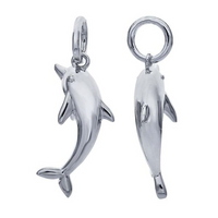 Dolphin Charm