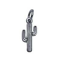 Cactus Charm