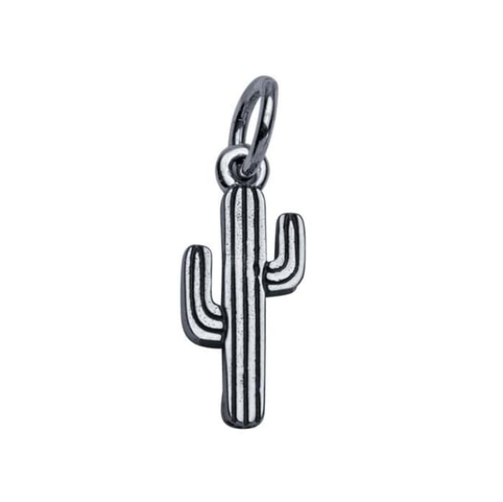 Cactus Charm
